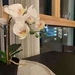 2 Bedrooms Apartment In Rg Centre
