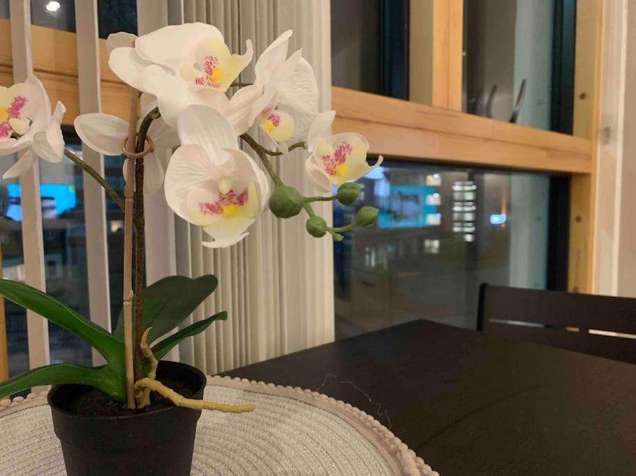 Apartment 2 Bedrooms In Rg Centre Reading